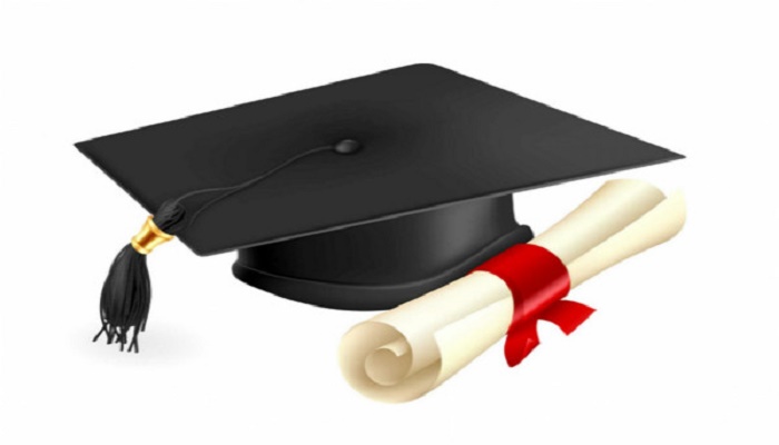 菜鳥總裁內部郵件流出：5年之內獲得新零售貨運物流全方位優勢