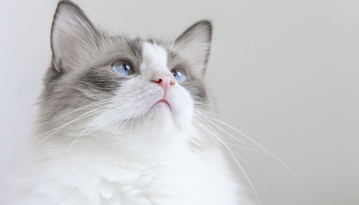 下雪天快遞企業(yè)仍舊收發(fā)件